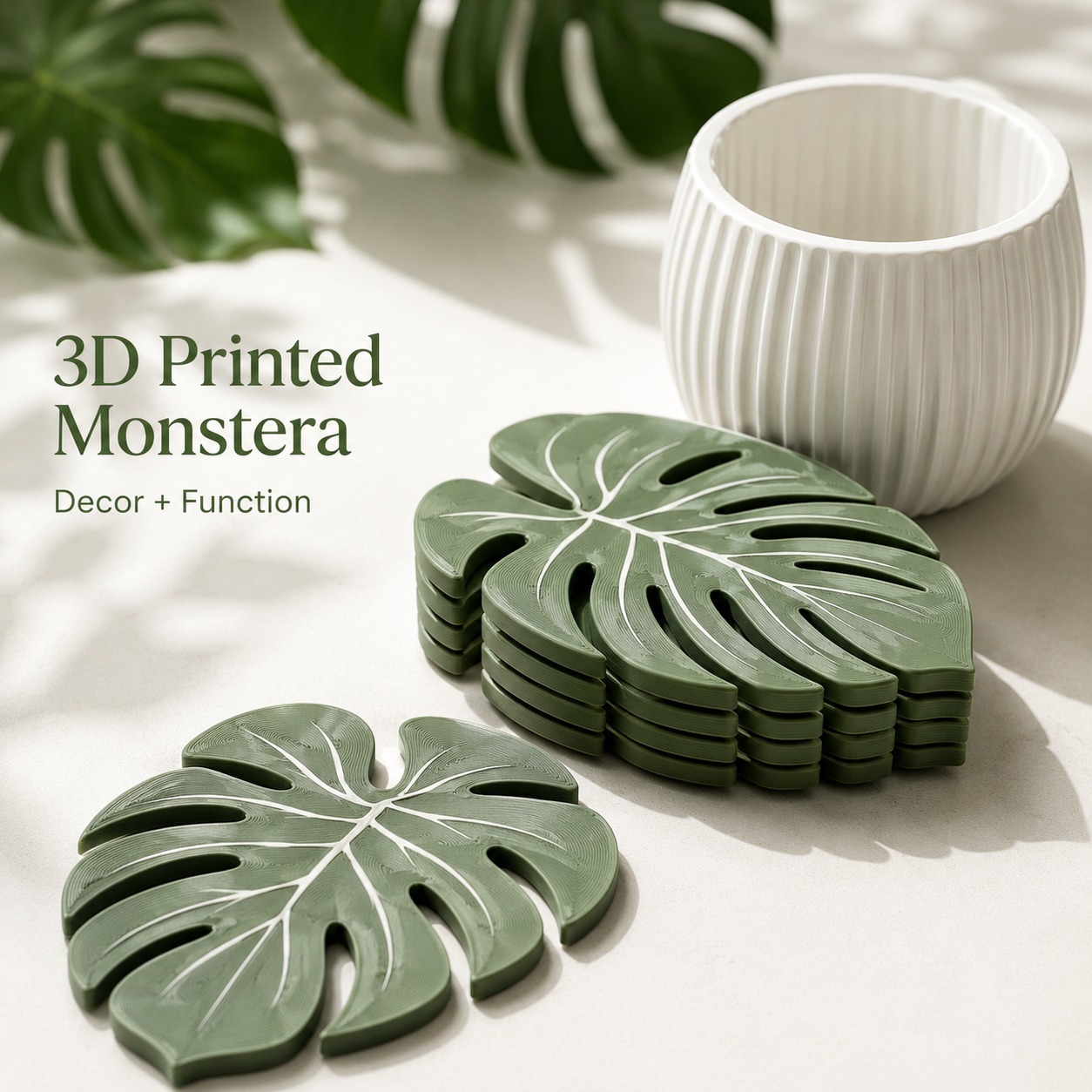 แผ่นรองแก้วลายใบมอนสเตอร่า ชุด - Office Furniture Brands บทวิจารณ์และราคา